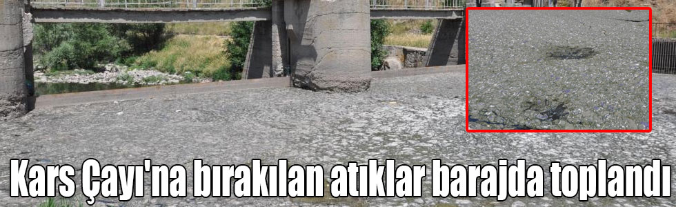  Kars Çayı'na bırakılan atıklar barajda toplandı