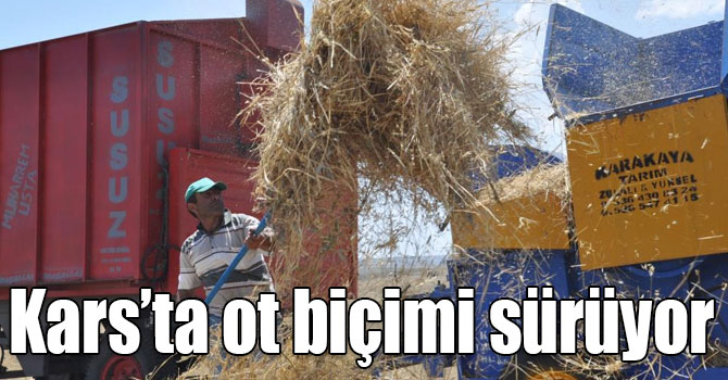 Kars’ta ot biçimi sürüyor