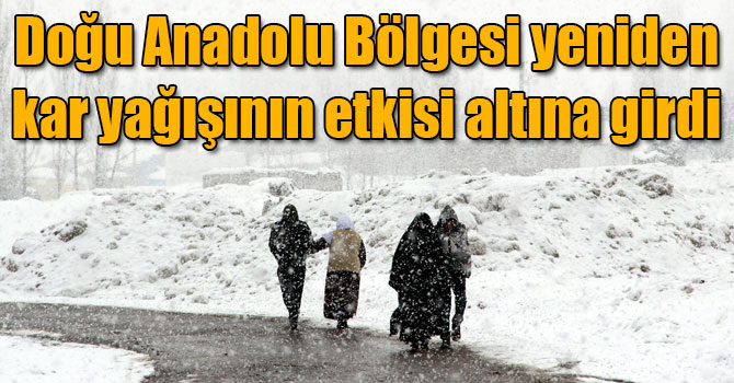 Doğu Anadolu Bölgesi yeniden kar yağışının etkisi altına girdi