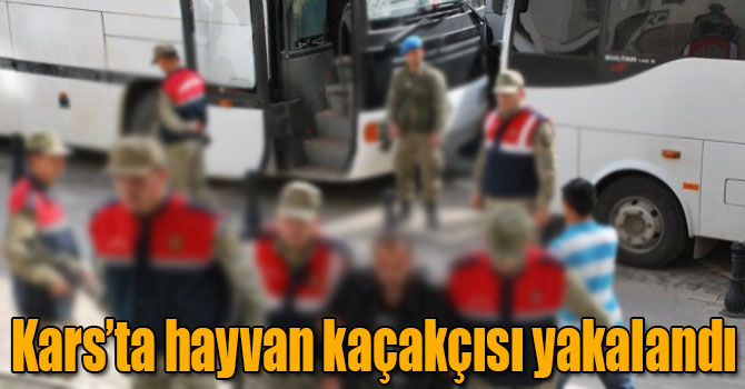 Kars’ta hayvan kaçakçısı yakalandı