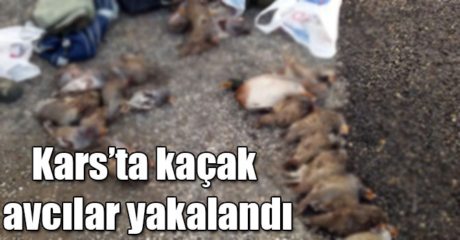 Kars’ta kaçak avcılar yakalandı