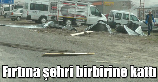 Kars’ta şiddetli fırtına hayatı felç etti