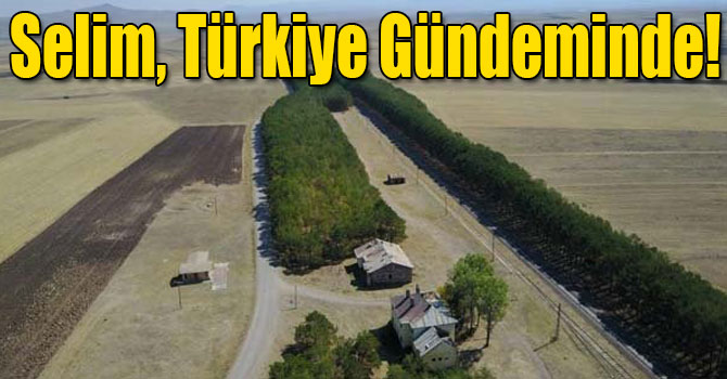 Selim, Türkiye Gündeminde!