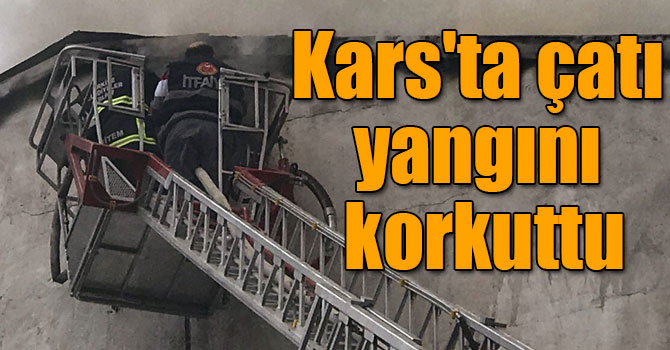 Kars'ta çıkan yangın korkuya neden oldu