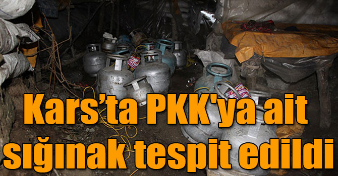 Kars’ta PKK'ya ait sığınak tespit edildi