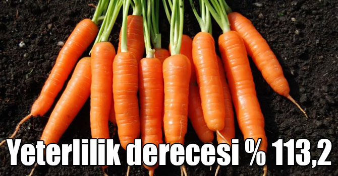 Sebzelerde en yüksek yeterlilik derecesi havuçta oldu