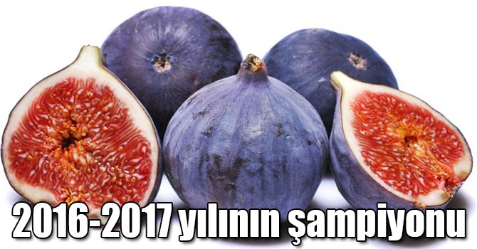 En yüksek yeterlilik derecesi 2016-2017 döneminde incirde