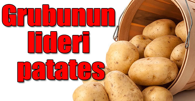 En yüksek yeterlilik derecesi tahıllar ve diğer bitkisel ürünler grubunda patateste