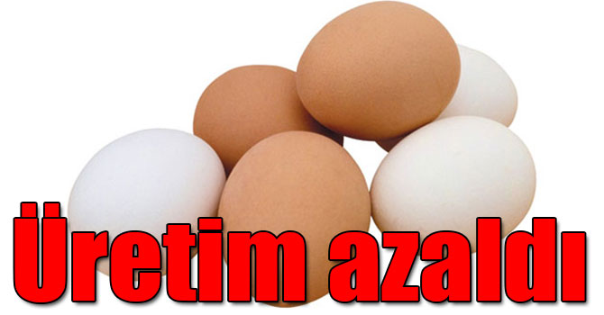 Tavuk yumurtası üretimi Şubat'ta azaldı