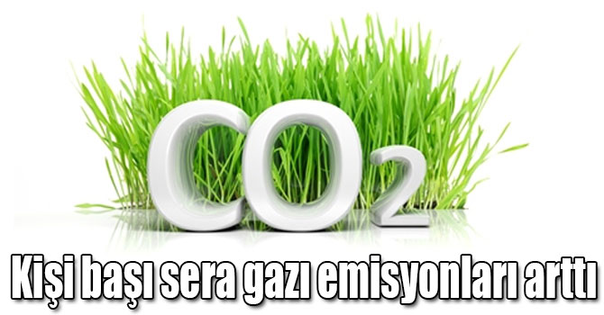 Seragazı emisyon istatistikleri açıklandı