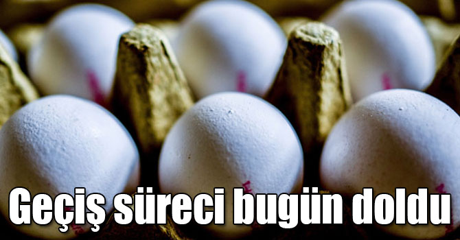 Yumurtaların üzerine artık yetiştirme metodu yazılacak