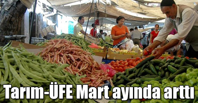 Tarım-ÜFE Mart ayında arttı