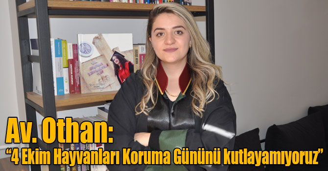 Av. Othan: “4 Ekim Hayvanları Koruma Gününü kutlayamıyoruz”