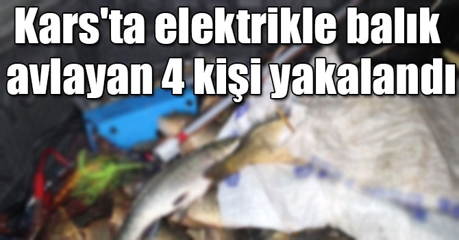 Kars'ta elektrikle balık avlayan 4 kişi yakalandı