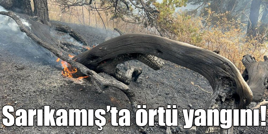 Sarıkamış’ta ormanlık alanda çıkan örtü yangını söndürüldü