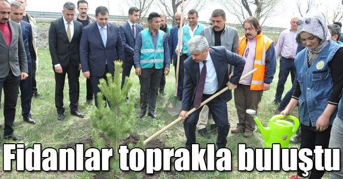 Kars'ta fidanlar toprakla buluştu