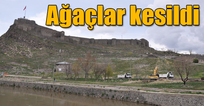 Kars'ta polen üreten ağaçlar kesildi, Kalenin önü açıldı