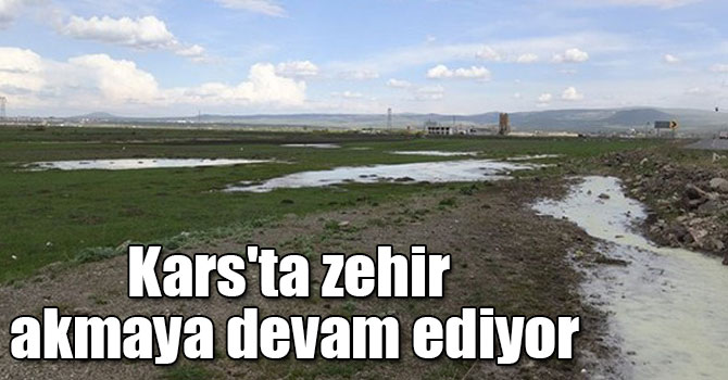 Kars'ta zehir akmaya devam ediyor