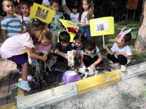 Manavgat Belediyesi’nin kreş öğrencileri sokak hayvanlarını besledi