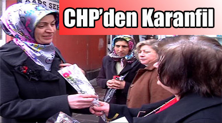 CHP Kars'ta Karanfil Dağıttı