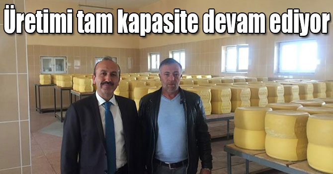 Kars’ta kaşar peyniri üretimi tam kapasite devam ediyor