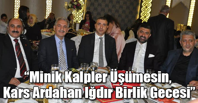 “Minik Kalpler Üşümesin, Kars Ardahan Iğdır Birlik Gecesi”