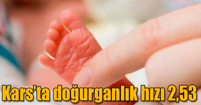Kars’ta doğurganlık hızı 2,53