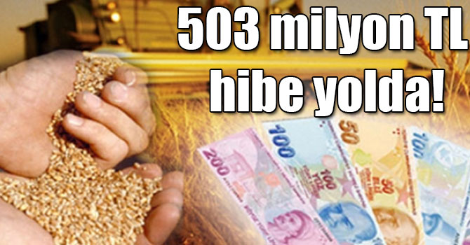 Gıda, Tarım ve Hayvancılık Bakanlığından 16 bin 733 genç çiftçiye 503 milyon TL hibe