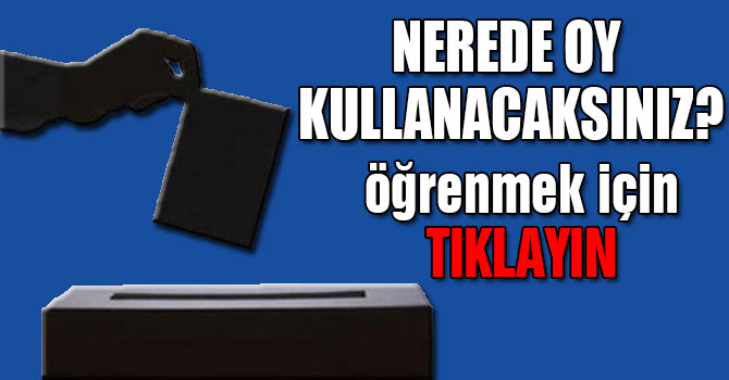 Seçmenler oy kullanacakları sandığı YSK'nın sitesinden ve e-Devlet'ten öğrenebilecek