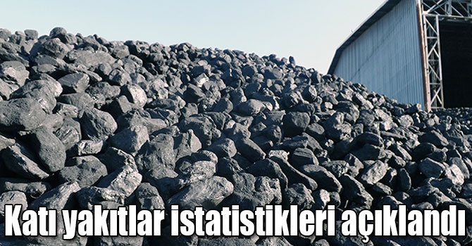Katı yakıtlar istatistikleri açıklandı