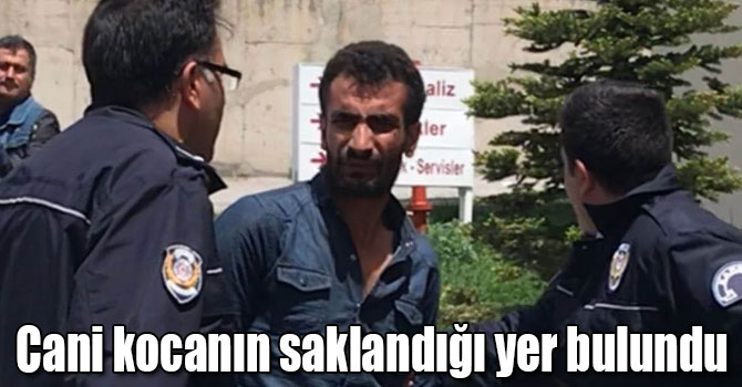 Cani koca sabaha kadar Sarıkamış ormanlarında ağaç kovuğunda saklanmış