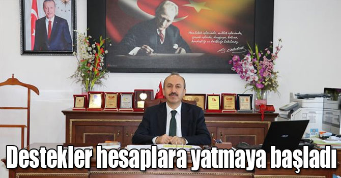 Kars'ta Anaç Koyun-Keçi Desteklemeleri hesaplara yatmaya başladı