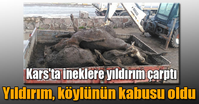 Yıldırım, Kars köylüsünün kabusu oldu