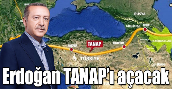 Cumhurbaşkanı Erdoğan TANAP’ı açacak