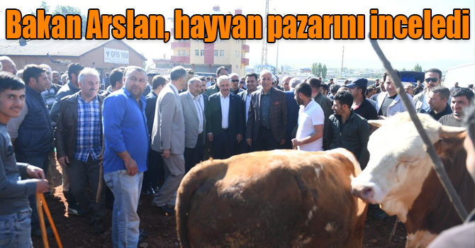 Bakan Arslan, hayvan pazarını inceledi
