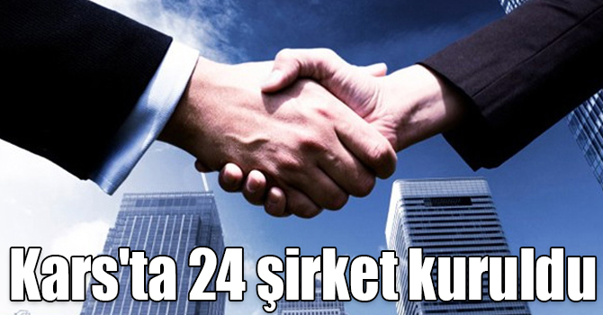 Kars'ta 5 ayda 24 şirket kuruldu