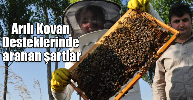 Arılı Kovan Desteklerinde aranan şartlar