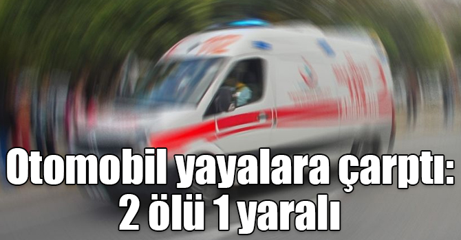 Otomobil yayalara çarptı: 2 ölü 1 yaralı