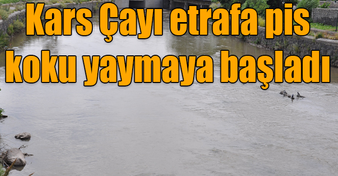 Havalar ısındı, Kars Çayı etrafa pis koku yaymaya başladı