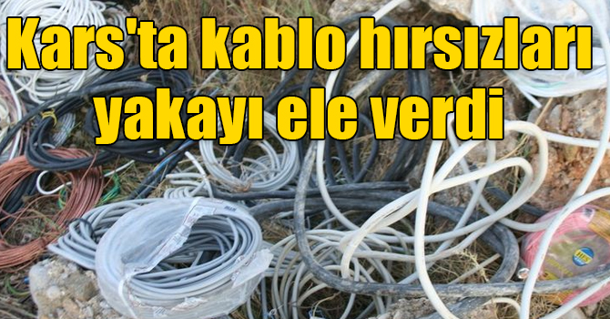 Kars'ta kablo hırsızları yakayı ele verdi