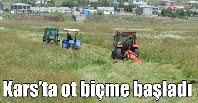 Kars’ta çiftçilerin ot biçme mesaisi başladı