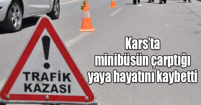 Kars’ta minibüsün çarptığı yaya hayatını kaybetti