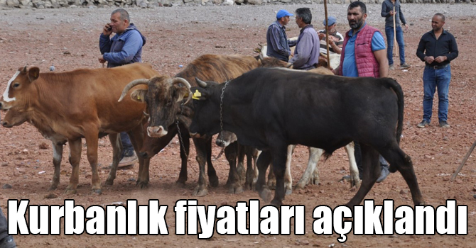 Kars'ta kurbanlık fiyatları açıklandı