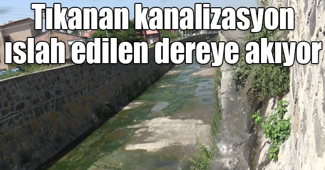 Kars’ta tıkanan kanalizasyon şebekesi ıslah edilen dereye akıyor