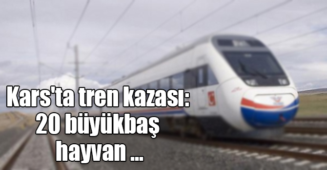 Kars'ta tren kazası: 20 büyükbaş hayvan telef oldu