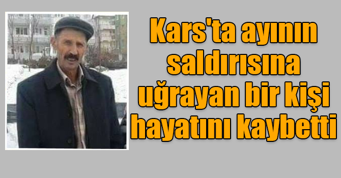 Kars'ta ayının saldırısına uğrayan bir kişi hayatını kaybetti