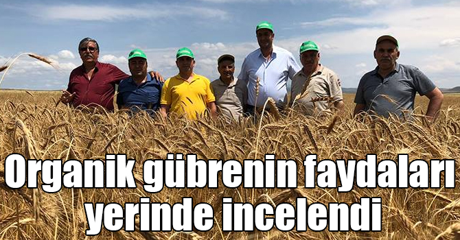 Kars'ta organik gübrenin faydaları yerinde incelendi