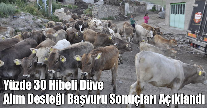 Kars’ta başvuruda bulunan tüm yetiştiricilere düve desteği verilecek