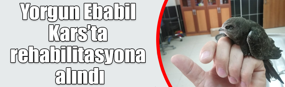 Yorgun Ebabil Kars’ta rehabilitasyona alındı
