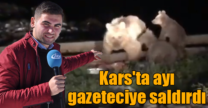 Kars'ta ayı kendisini görüntüleyen gazeteciye saldırdı